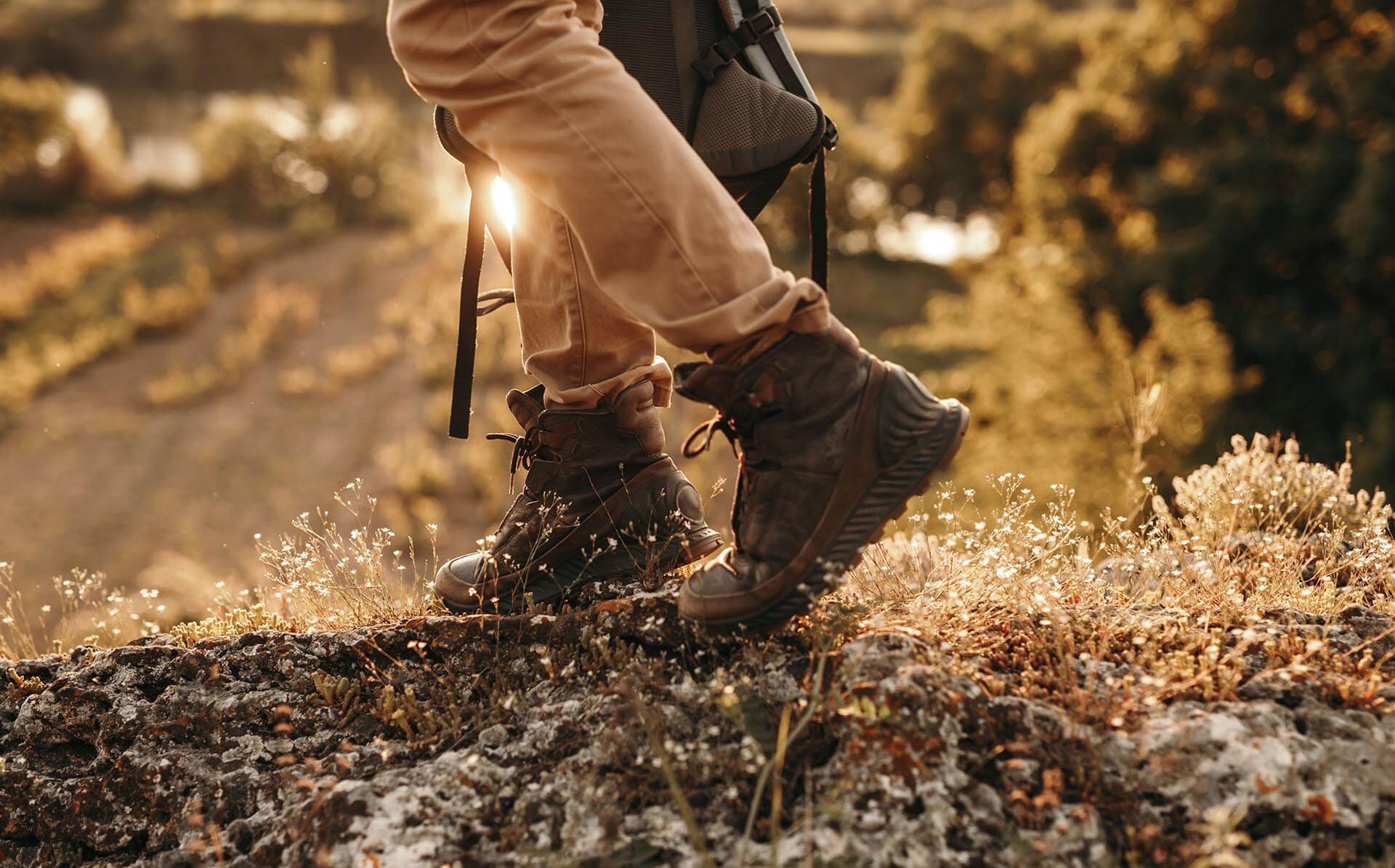 Top 6 Hiking Trails in South Cumberland State Park